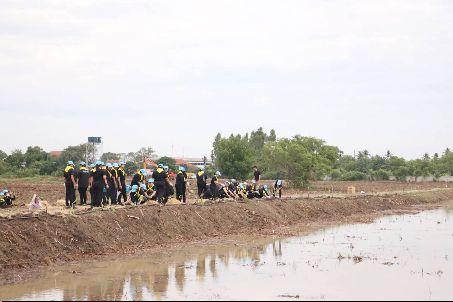 title - ส.ป.ก. ร่วมกิจกรรมโครงการจิตอาสาพัฒนาด้านการเกษตร กษ. เฉลิมพระเกียรติสมเด็จพระนางเจ้าฯ พระบรมราชินี เนื่องในโอกาสมหามงคลเฉลิมพระชนมพรรษา 4 รอบ 3 มิถุนายน 2569 ณ ศูนย์ส่งเสริมและพัฒนาอาชีพเสริมนอกภาคการเกษตร (ศูนย์ศิลปาชพบางไทรฯ เดิม)